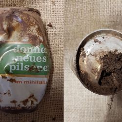 Donner Neuer Pilsener