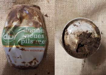 Donner Neuer Pilsener