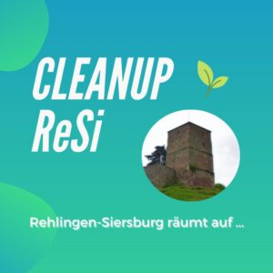 Cleanup ReSi