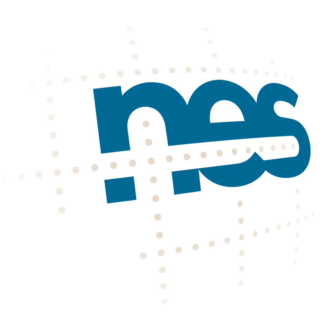 Nes Gmbh Kontakt