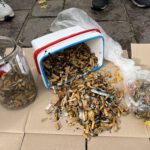 St. Ingberter Raumpaten in Aktion