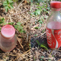gefunden von Sebastian am 8. August 2020 im Bliesgau
Coca Cola-Flasche von 1987
