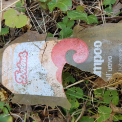 gefunden von Sebastian am 8. August 2020 im Bliesgau
aus den 1970ern