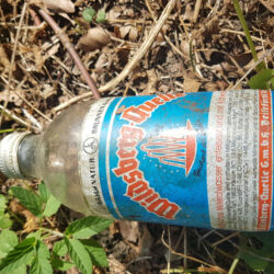 gefunden von Sebastian am 8. August 2020 im Bliesgau
Sprudel von der Wildsberg-Quelle
zwischen 1985 und 1993