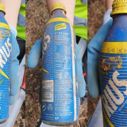 gefunden am 12. Juli 2020 auf dem Schlossberg in Homburg
MHD 06/1995