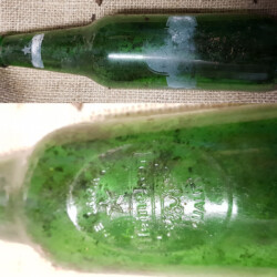 gefunden am 15. März 2020 an der L121 Ortsausgang Fürth Richtung Dörrenbach