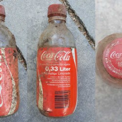 gefunden am 15. August 2020 an der Zufahrt zum Baltersbacher Hof
Cola mit MHD 1987