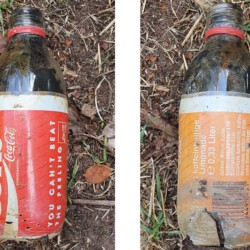 gefunden am 15. August 2020 an der Zufahrt zum Baltersbacher Hof
Cola von 1989 (Deckel ist zwar nicht mehr vorhanden, aber "You can't beat the feeling" war der Cola-Werbesong des Jahres 1989)