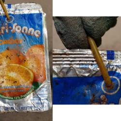 gefunden am 24. Mai 2020 am Rombachaufstieg
MHD: August 1986