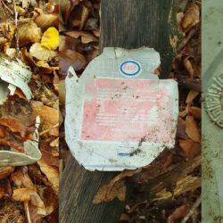 gefunden am 3. Oktober 2020 an der Waldmohrer Straße (Lautenbach)
Esso Motoröl
eingeprägtes Prüfzeichen 1983