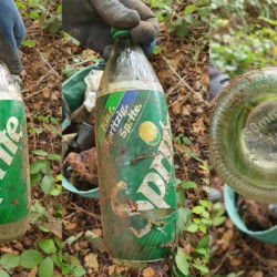 gefunden am 18. Oktober 2020 im Stennweiler Wald
Bodenprägung 1994