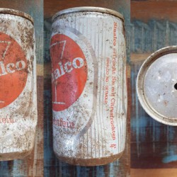 gefunden am 18. Februar 2021 am Ortsausgang Fürth
Sinalco-Dose aus den 1970ern