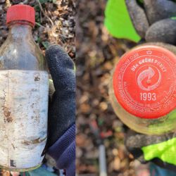 gefunden am 7. März 2021 in der Mühlenstraße in Schiffweiler
Coca Cola-Einwegflasche
MHD Ende 1993