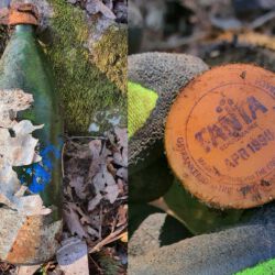 gefunden am 7. März 2021 in der Mühlenstraße in Schiffweiler
Fanta-Einwegflasche
MHD April 1990