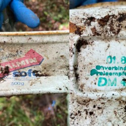 gefunden am 15. August 2021 im Stennweiler Wald
Palmin mit MHD Januar 1986