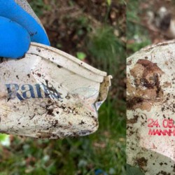 gefunden am 15. August 2021 im Stennweiler Wald
Palmin mit MHD 24. Mai 1981