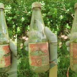 gefunden am 21. Juni 2020 am Parkplatz Höcher Turm
Mitte 1990er Jahre