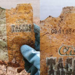 gefunden am 28. Juni 2020 am Wingertsweiher in Ottweiler</br>
MHD 09.11.1998