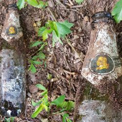 gefunden am 13. Mai 2020 am Parkplatz des Wingertsweiher (Ottweiler)
Flasche von Karlsberg
vermutlich aus den 1980er/1990er Jahren