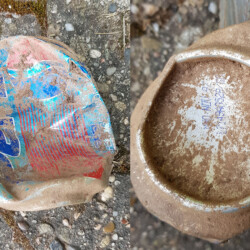 gefunden am 12. April 2020 am Wanderparkplatz Hanauer Mühle<br/>
MHD: Nov 1997