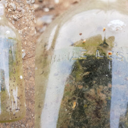 gefunden am 13. April 2020 im Himmelwald Richtung Lauftreff<br/>
Glasflasche mit der Aufschrift "Huile Lesieur"<br/>
aus den 1950er Jahren
