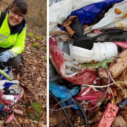 gefunden am 7. März 2020 an der L116 zwischen Hanauer Mühle und Eichelthaler Mühle