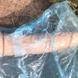 gefunden am 1. Mai 2021 auf einem Parkplatz in Schwalbach