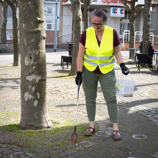 Claudia beim Sammeln Claudia beim Sammeln