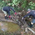 SaarCleanup in Sulzbach